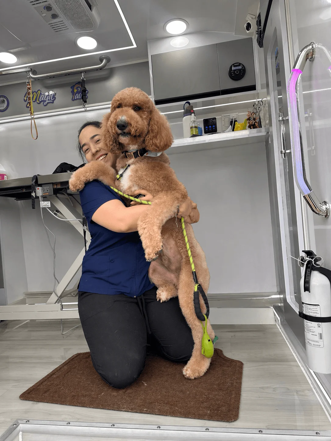 A happy and relaxed pet at Magic Paws