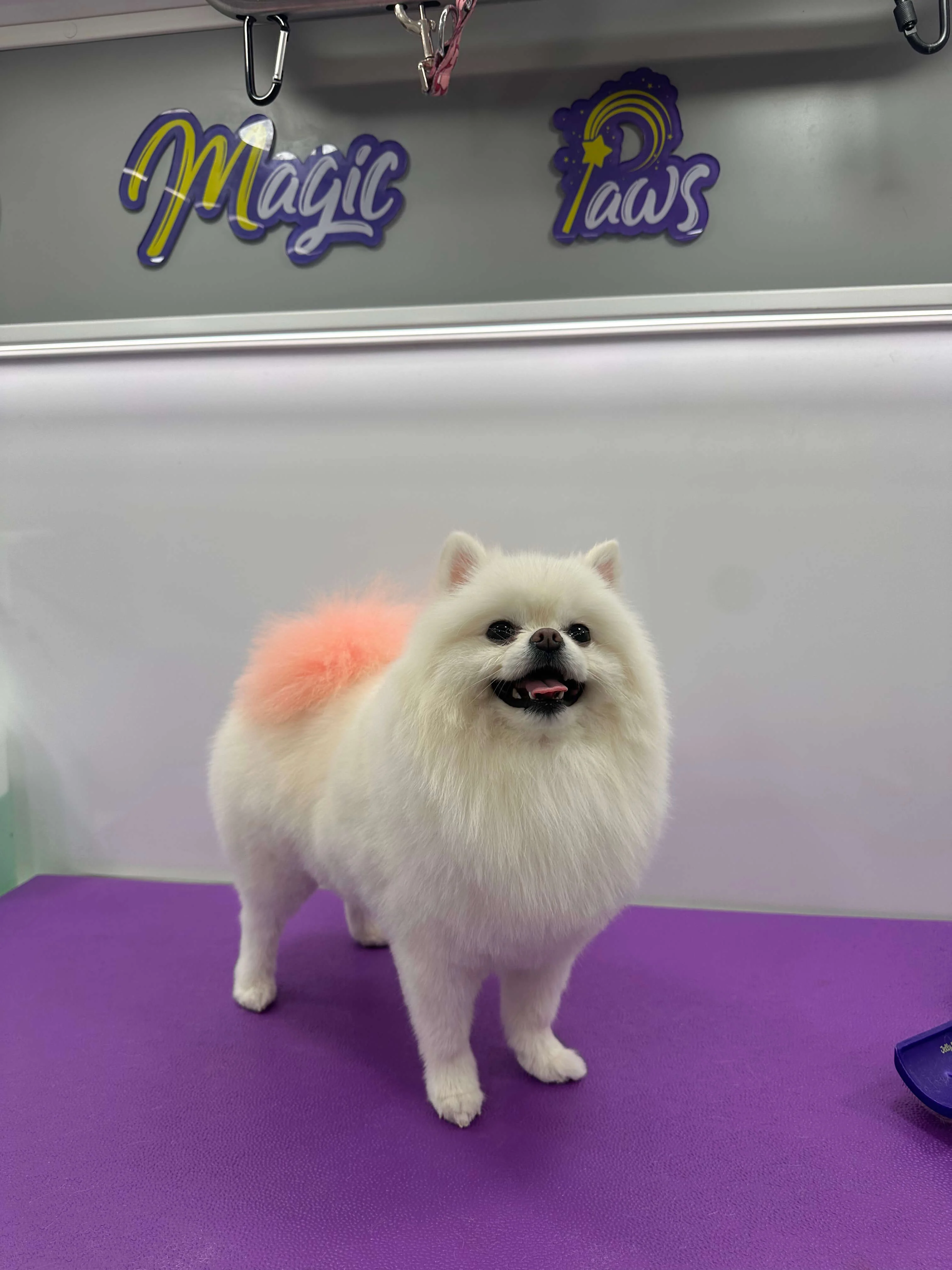 Luna después del grooming